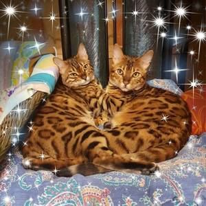 Meet your Posher, Deidre